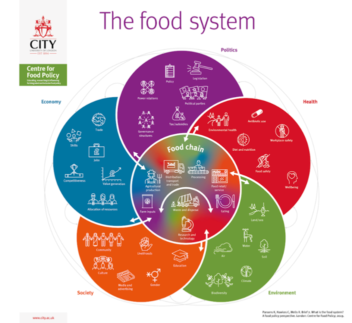 The Food System
