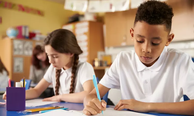 Two primary school children writing in class.