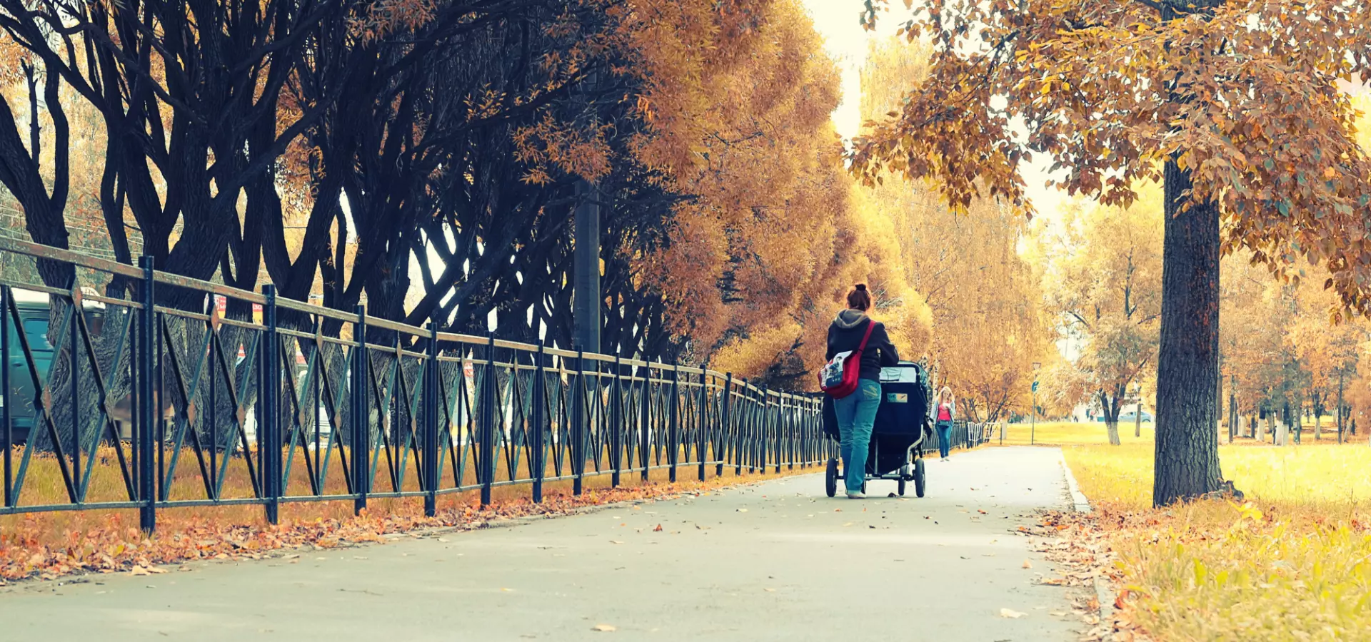 Woman seen from the back, pushing a pram in a park. The leaves on the trees are orange and there are many dead leaves on the ground.