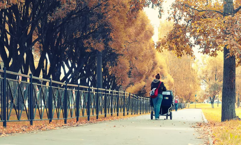 Woman seen from the back, pushing a pram in a park. The leaves on the trees are orange and there are many dead leaves on the ground.