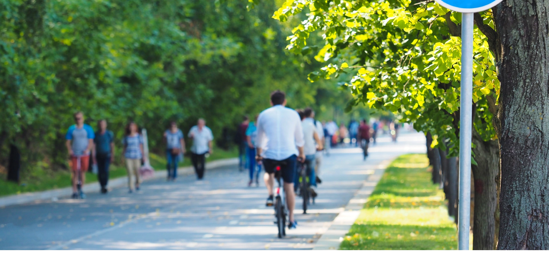 Cyclists and pedestrians in a park.