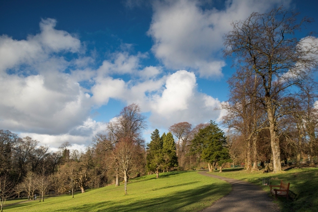 Cathcart and Simshill - Picture